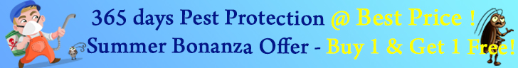 Pest Control Service in kolkata offers